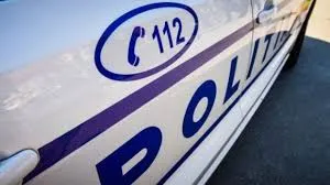 Tineri din Sălaj, prinşi la furat în Satu Mare
