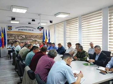 Focar de pestă porcină descoperit într-o pădure din Sălaj! Autoritățile iau măsuri