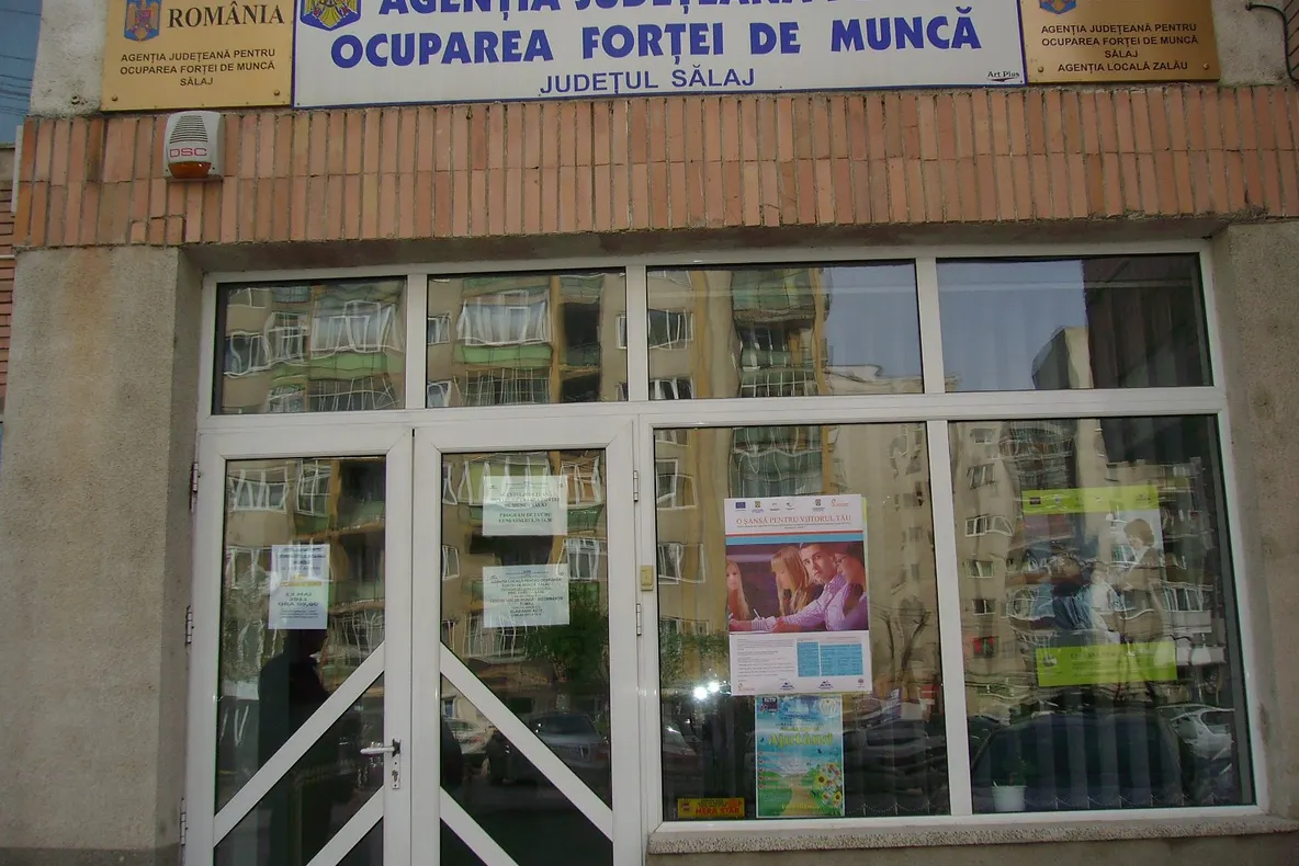 Peste 100 de joburi vacante în Sălaj