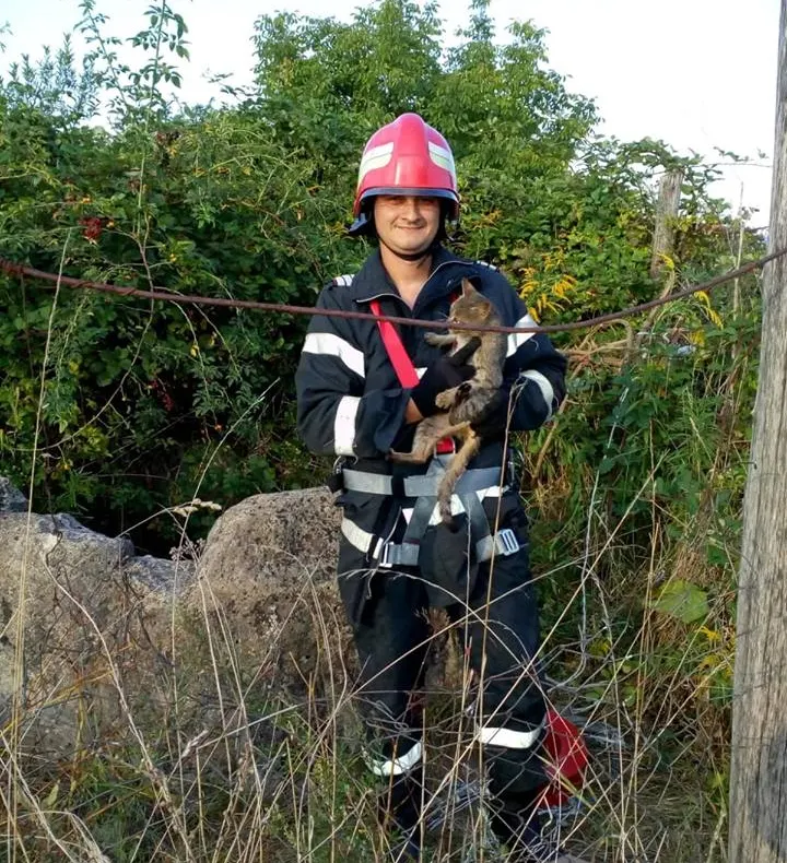 Pisică căzută într-o fântână,  salvată de pompieri