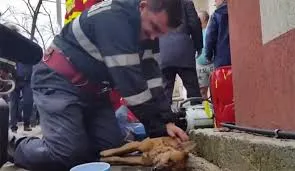 Forţe proaspete la ISU Sălaj. Un tânăr absolvent, numit în funcţia de maistru militar