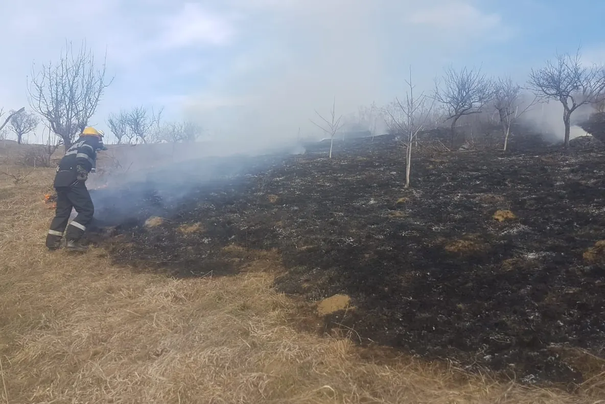 Incendiu în cartierul Ortelec. Pompierii, la faţa locului