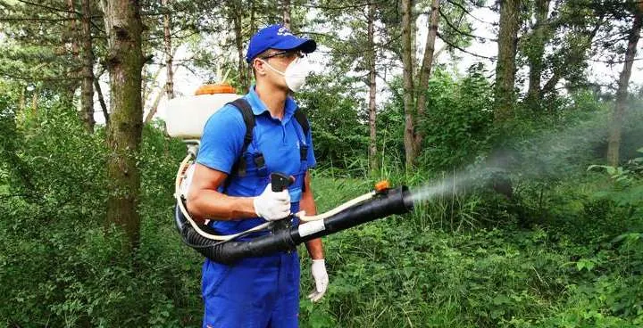 La Zalău au început acţiunile de: dezinsecție, deratizare și dezinfecție