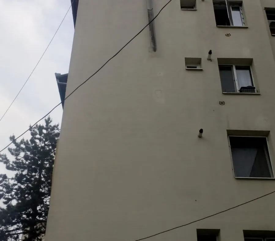 Vântul desprinde bucăţi de tablă de pe blocurile din Zalău. Pompierii, chemaţi în ajutor