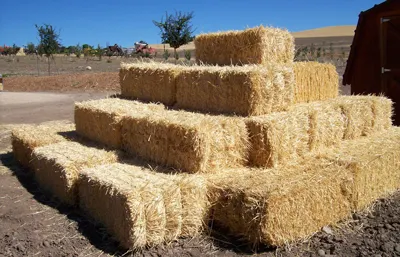 La Şimleu Silvaniei: cu tractorul, la furat de baloţi
