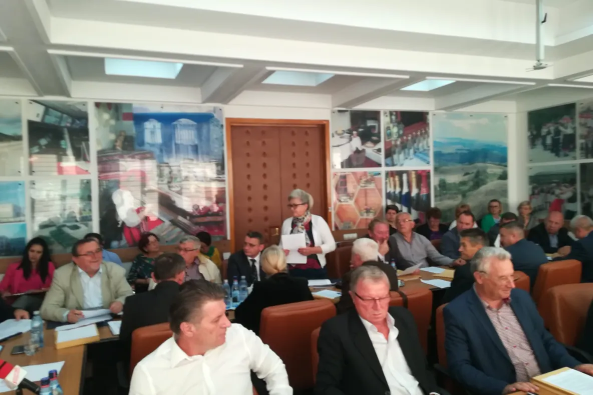 Complexul Arheologic ''Porolissum'' Moigrad, în atenţia consilierilor judeţeni