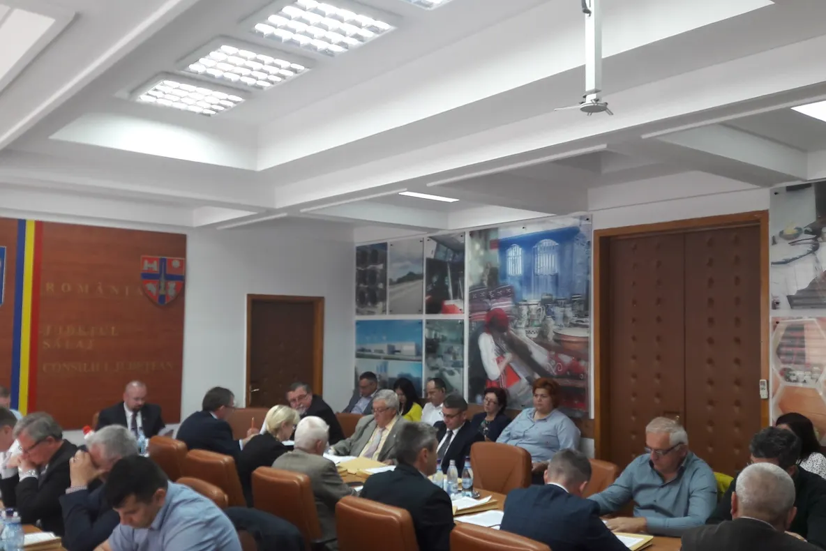 Consilierii județeni, convocați în ședință ordinară