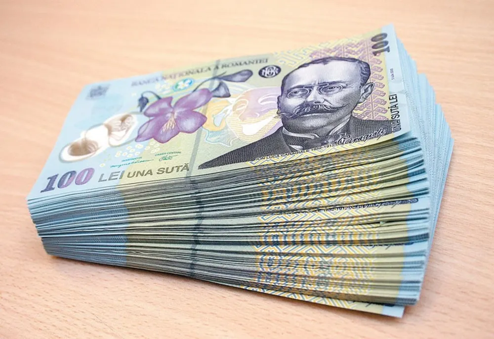 Un prejudiciu de peste 7.000 de lei a fost recuperat de polițiștii sălăjeni 