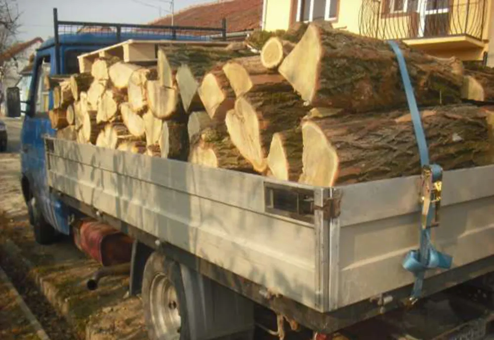 Trei sălăjeni și un clujean, prinși cu material lemnos fără documente, amendați drastic! Au rămas și fără marfă