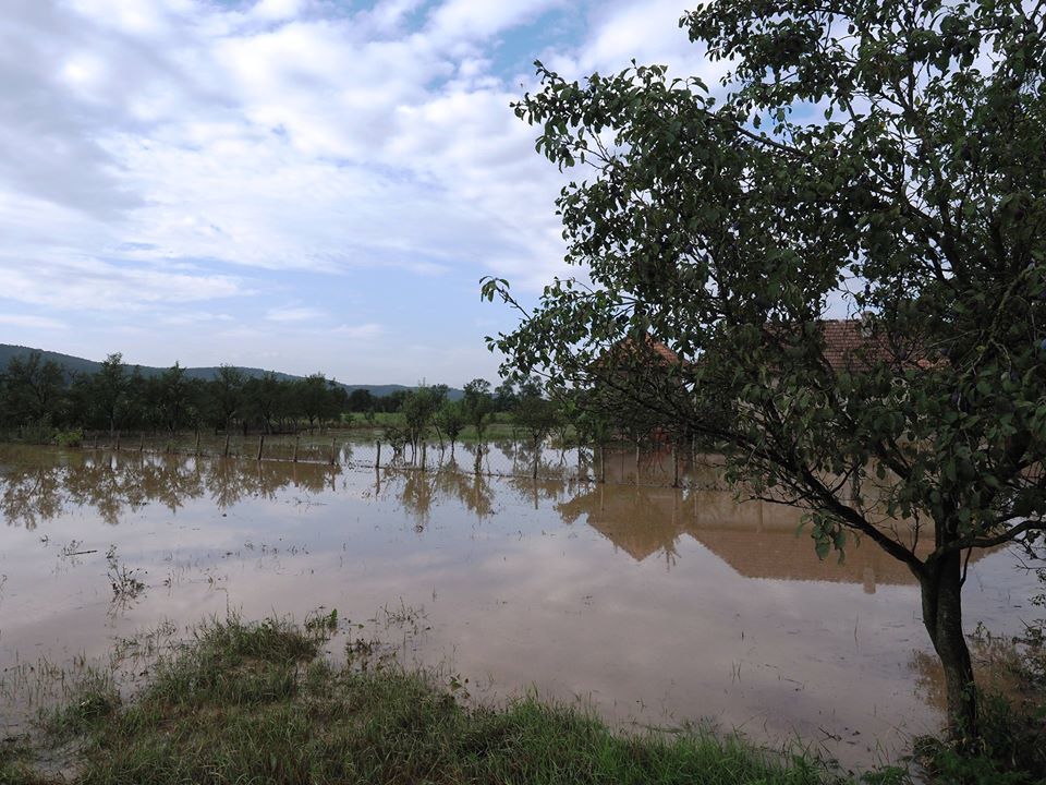 Inundațiile au făcut ravagii în Sălaj. Sute de case, anexe gospodărești, fântâni și terenuri agricole au fost inundate