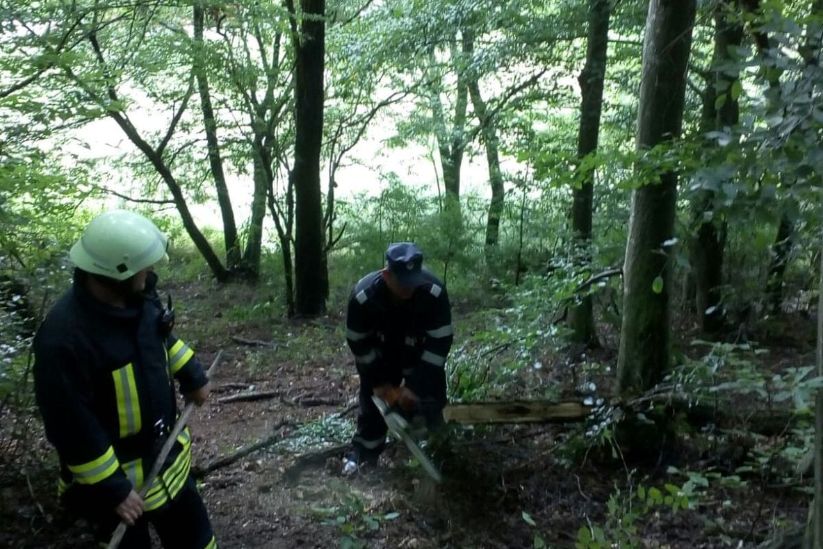 Simulare: pădurea din localitatea Gălpîia, cuprinsă de flăcări