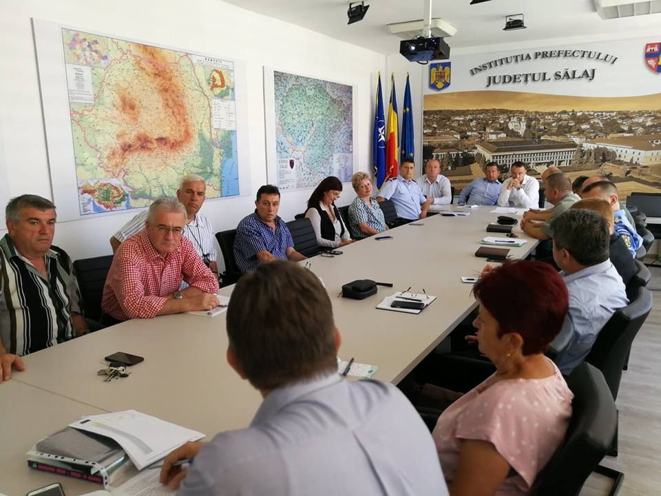 Autorităţile sălăjene iau primele măsuri de prevenire a pestei porcine