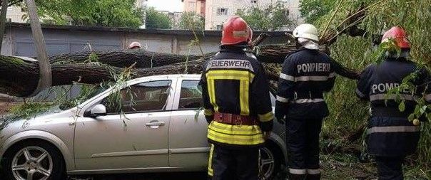 Autoturism avariat de o creangă desprinsă dintr-un copac