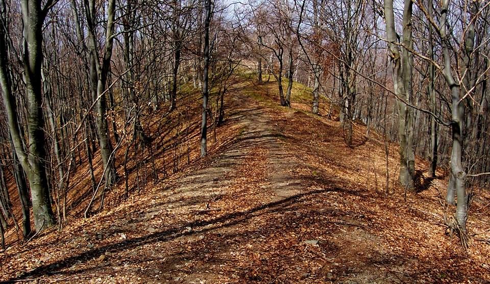 O nouă cercetare arheologică la cetatea dacică de la Meseșenii de Sus