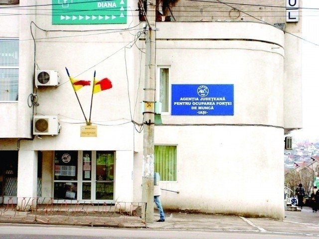 Angajatorii din mediu privat pun la bătaie peste 230 de oferte de muncă