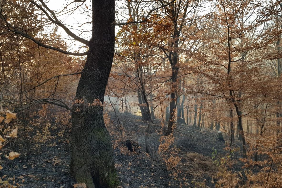 A incendiat  casa în care locuia cu chirie