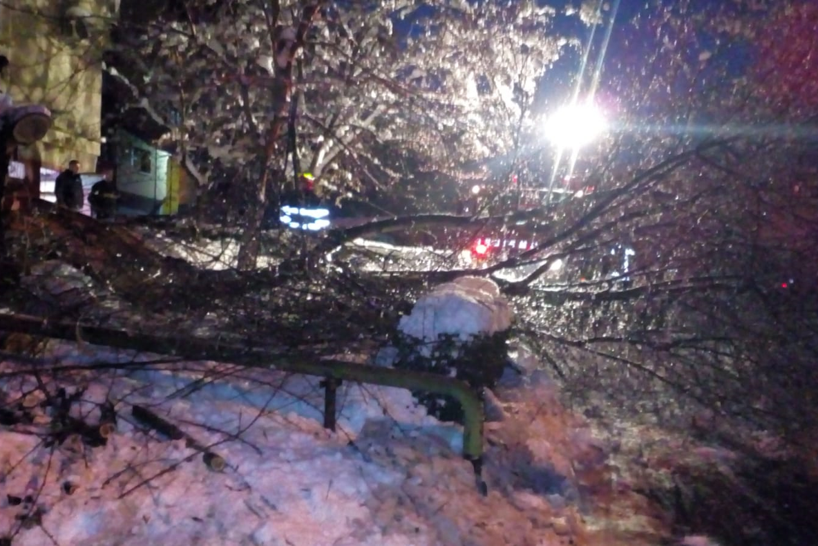 La Zalău, zăpada doboară copaci și crengi peste autoturisme. Atenție unde vă parcați mașinile!