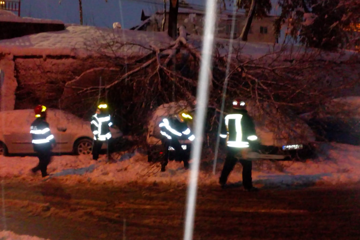 Trei maşini avariate de un copac doborât de zăpadă