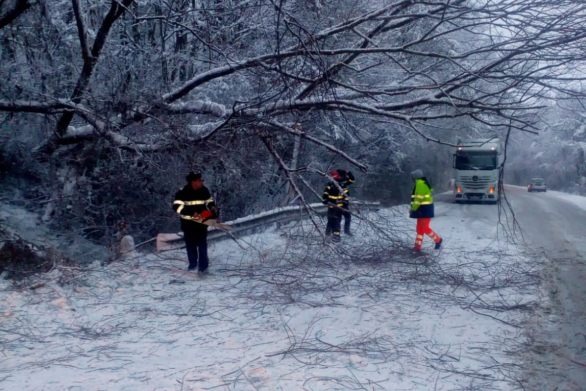 Din cauza ninsorii abundente, copaci căzuţi pe carosabil