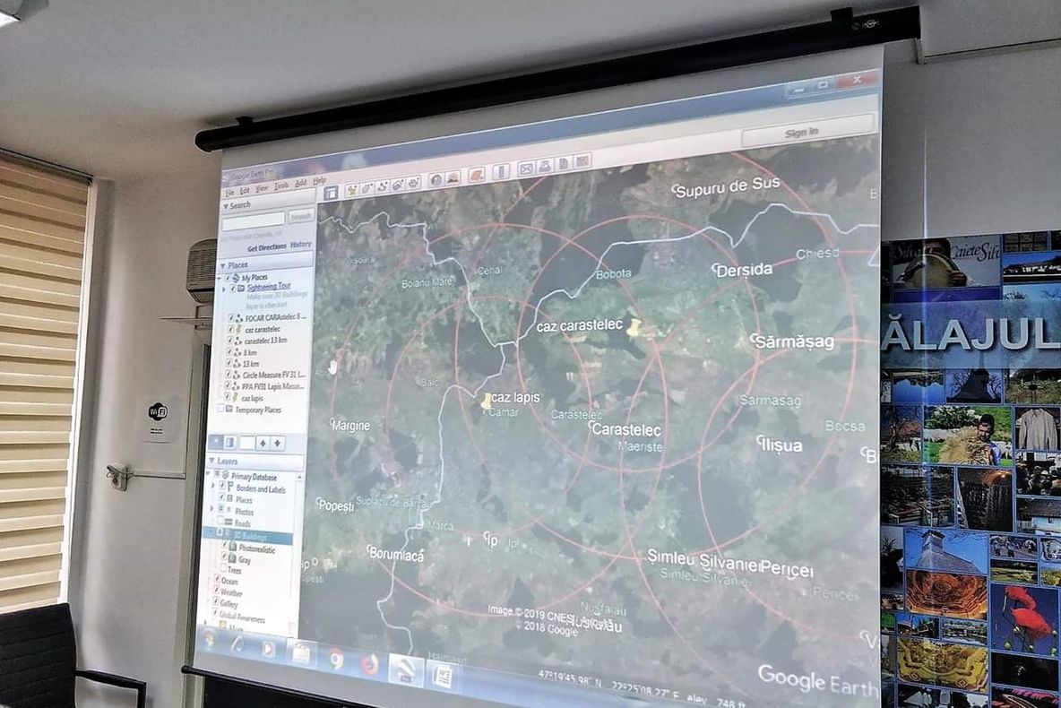 Autoritățile, din nou, în alertă! A fost confirmat un nou caz de pestă porcină în Sălaj