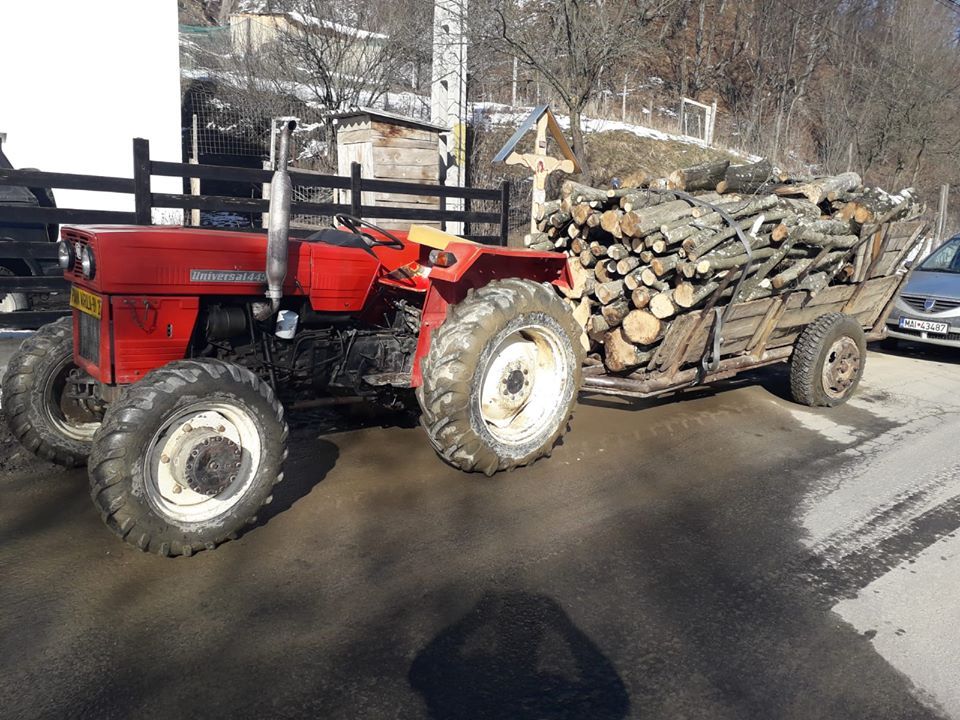 Continuă acțiunile pentru prevenirea delictelor silvice. Peste 100 de amenzi au fost aplicate în prima lună a acestui an