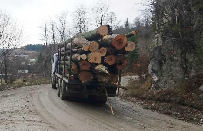 Sute de infracţiuni silvice de la începutul acestui an. Ce măsuri au luat polițiștii sălăjeni