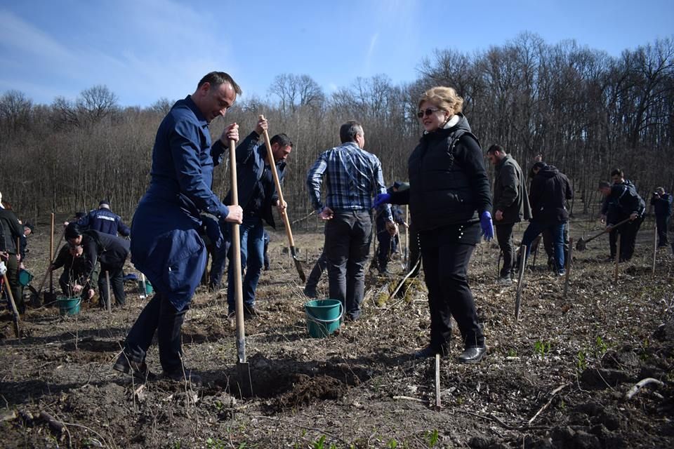 Direcția Silvică Sălaj a dat startul "Lunii plantării arborilor"