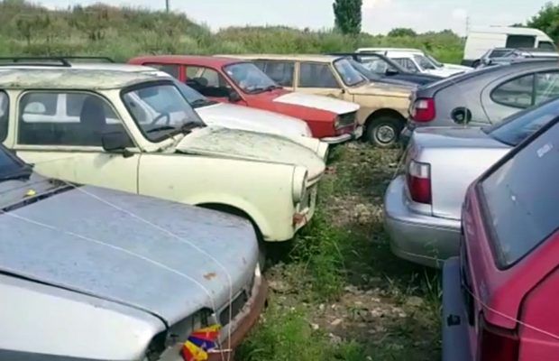 Sălajul rămâne județul cu cele mai multe rable din țară