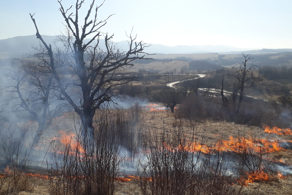 Val de incendii de vegetație uscată în județ