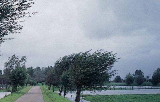 Alertă de vreme severă. Sălajul, sub cod galben de fenomene periculoase