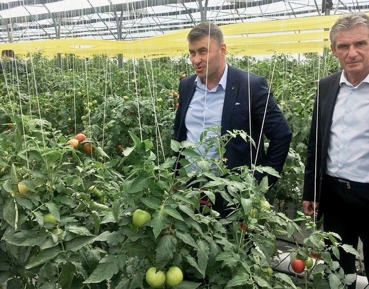 Secretarul de stat în Ministerul Agriculturii s-a întâlnit cu producătorii de tomate din Sălaj