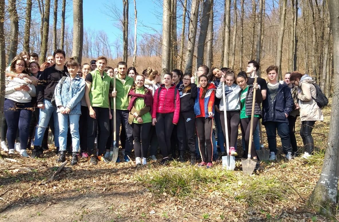 Proiectul ''Cluburile ecOprovocarea Călărași și Sălaj'': două licee din Sălaj, pe podium