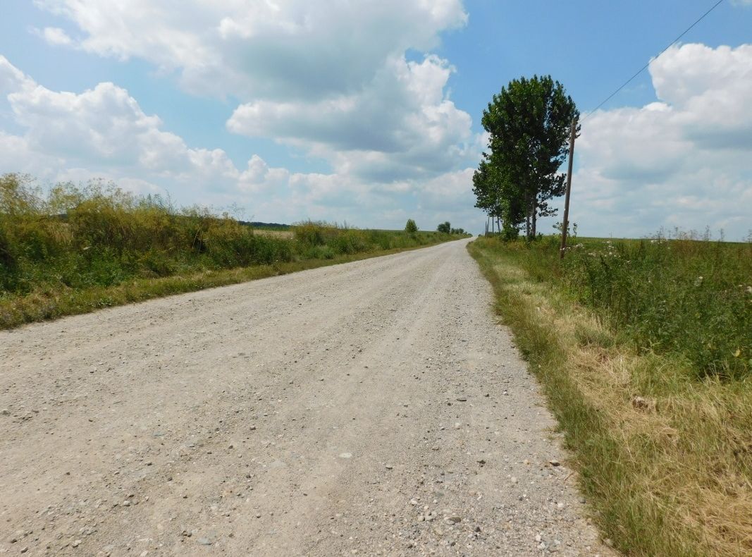 Reparații și toaletări pe drumurile județene