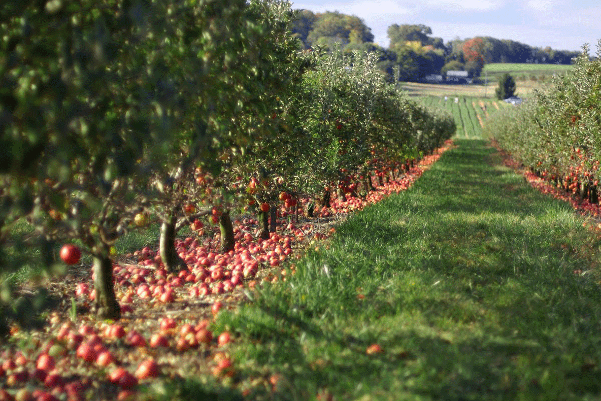 Angajatori, atenţie! Din iulie, s-au extins activităţile pentru zilieri