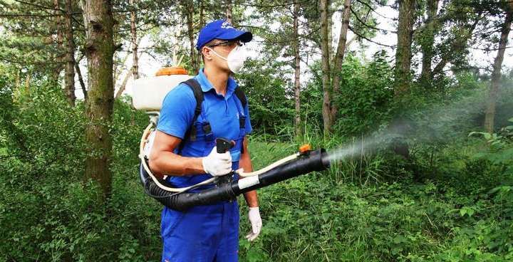 O nouă acțiune de dezinsecție şi deratizare la Zalău