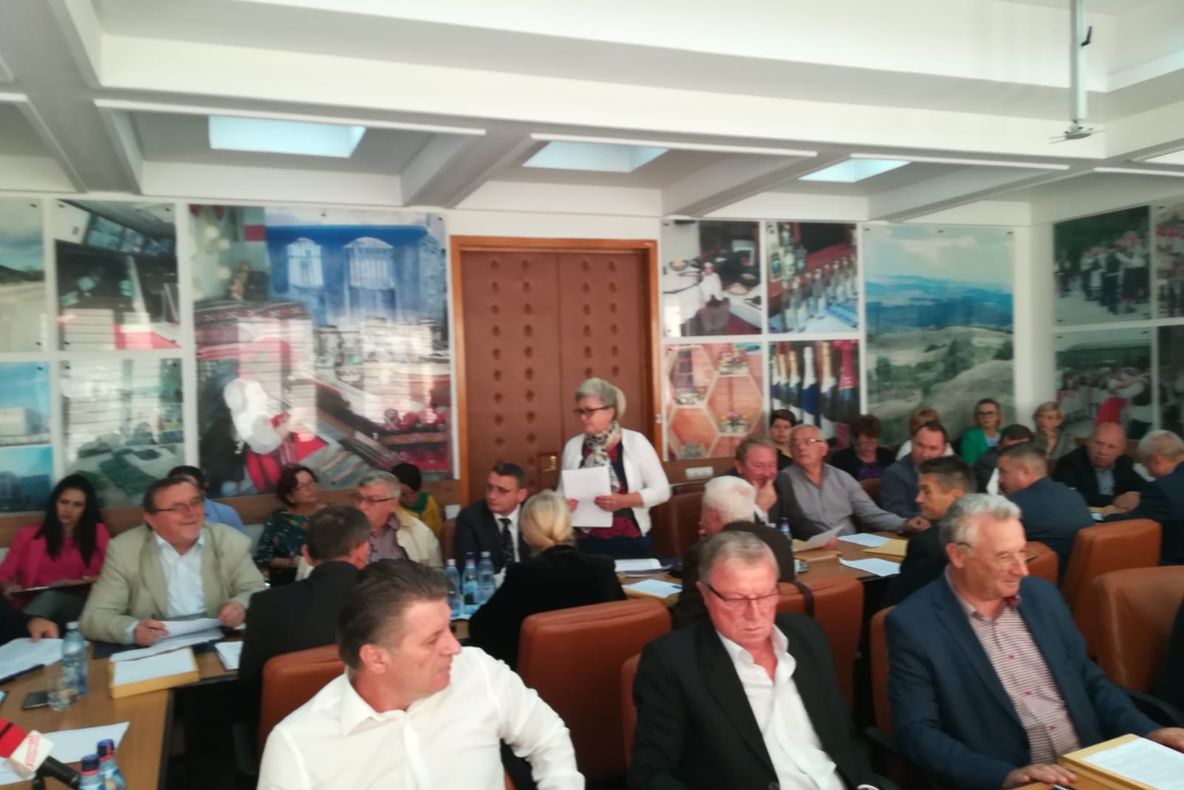 Complexul Arheologic ''Porolissum'' Moigrad, în atenţia consilierilor judeţeni