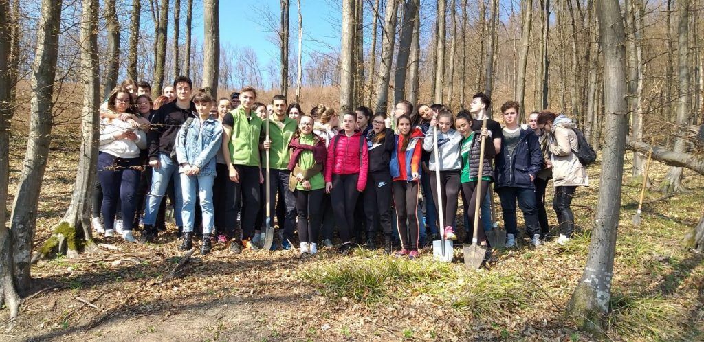 Licee din Sălaj, la o nouă ediţie ''ecOprovocarea''