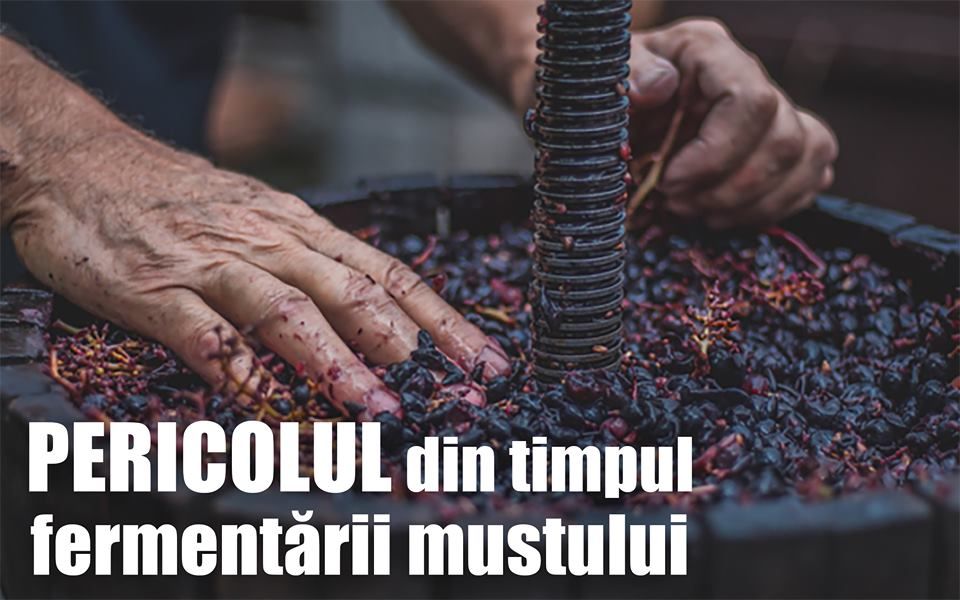 Atenție la fermentarea mustului, pericol de intoxicare!