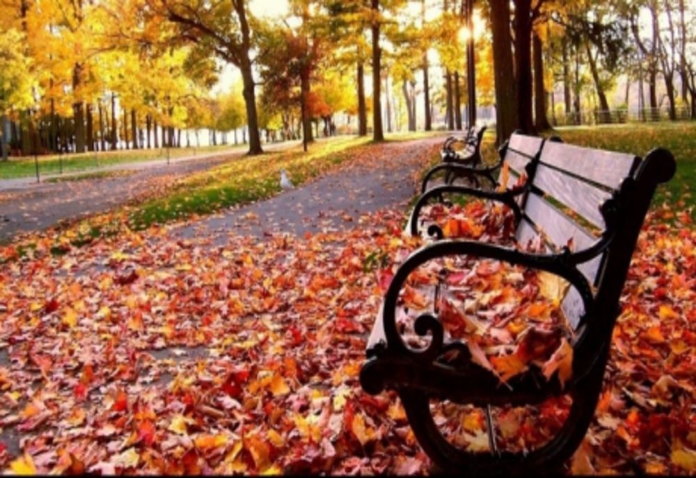 Prognoza meteo pe o lună. Schimbări majore: cum va fi vremea până pe 9 decembrie