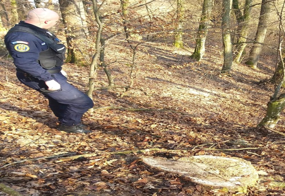 La furat de lemne cu tractorul