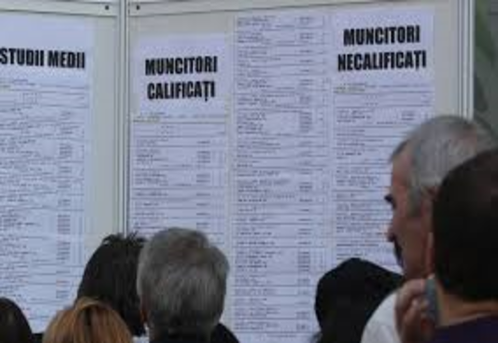 În Sălaj, rata șomajului în ușoară creștere. Peste 4.300 de șomeri în evidențele AJOFM 