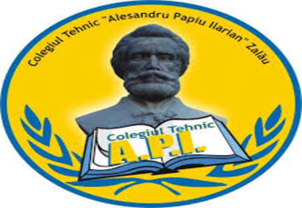 Colegiul API Zalău organizează concurs pentru  ocuparea unui post de contabil-șef 