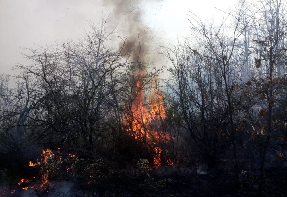 Pompierii sălăjeni, tot mai solicitați. 15 intervenții în două zile