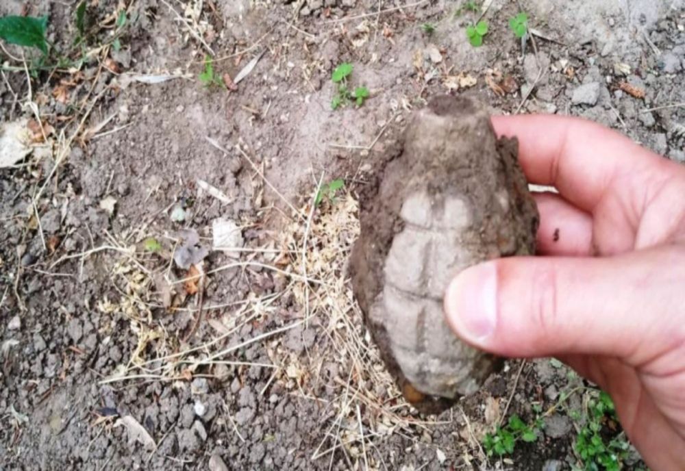 Grenadă descoperită în livada unui localnic din Recea Mică