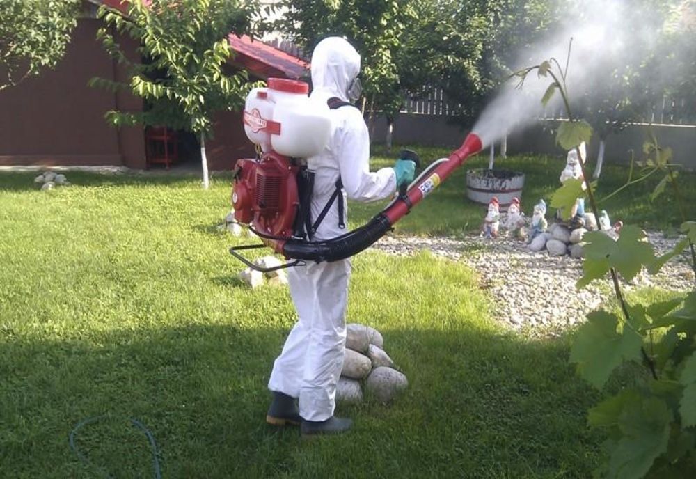 O nouă acțiune de dezinsecție în Zalău