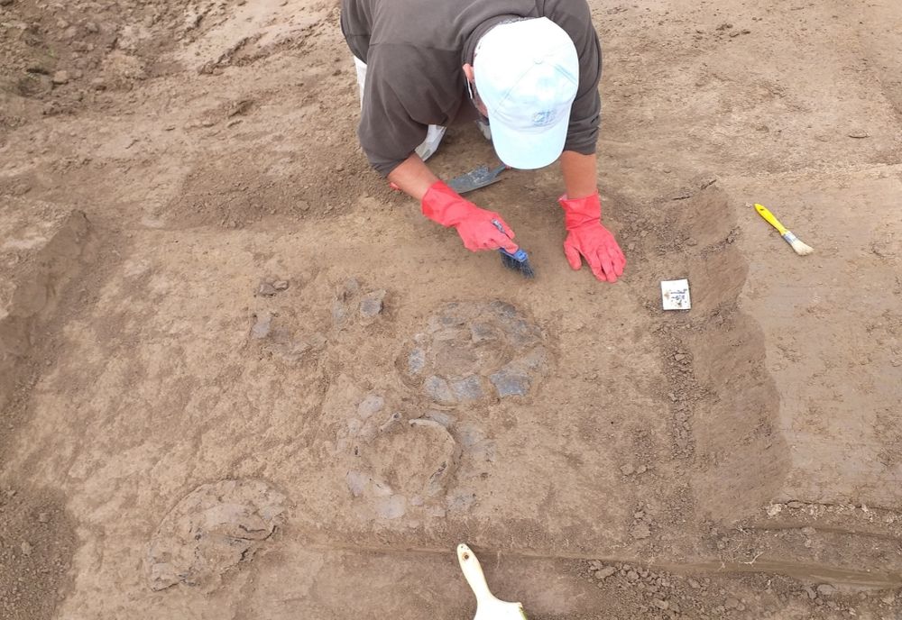 FOTO | Descoperire importantă la Zalău: cimitir din epoca bronzului