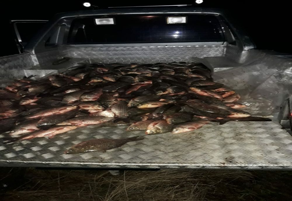 FOTO | Trei braconieri din Sălaj care au prins 300 de kilograme de pește au fost prinşi în flagrant