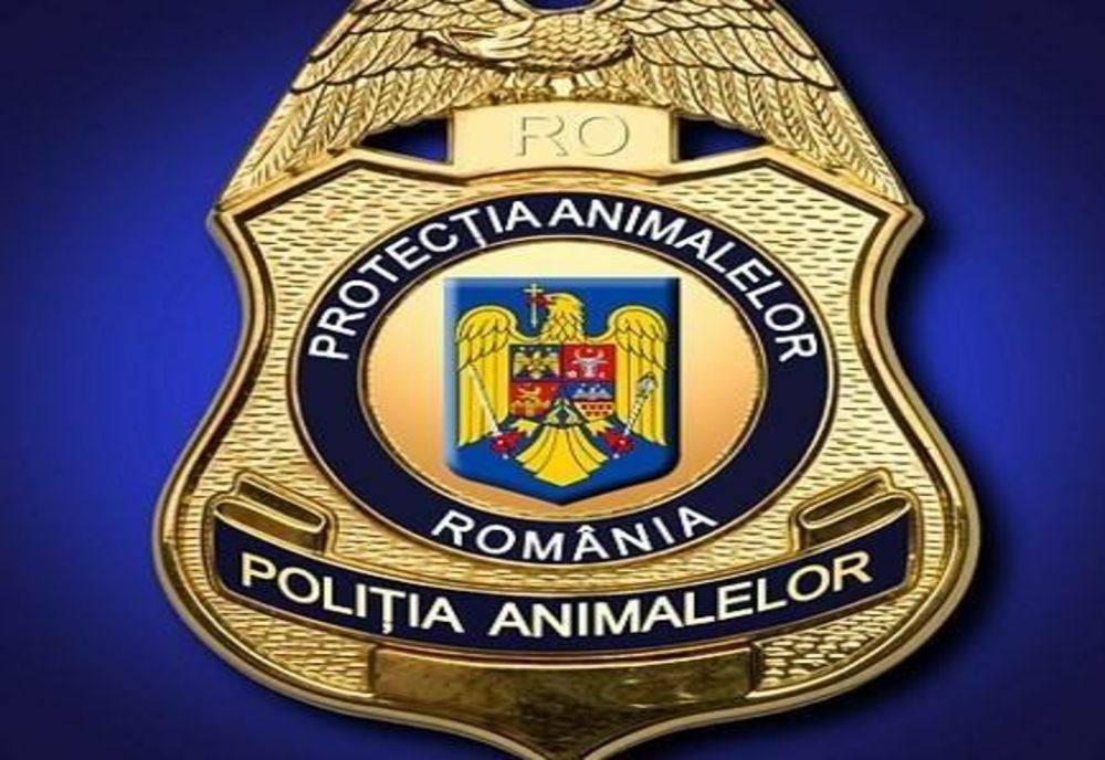 Peste 70 de cereri de înscriere la concursul pentru încadrări din sursă externă pentru Protecţia Animalelor Sălaj