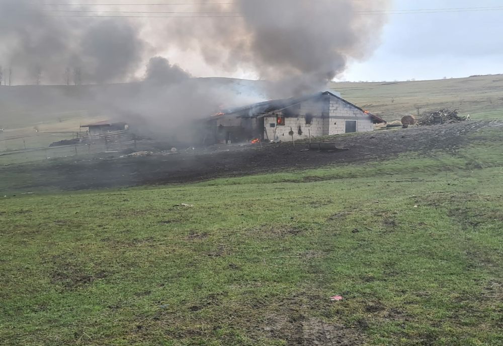 FOTO | Saivan de oi din judeţul Sălaj cuprins de flăcări