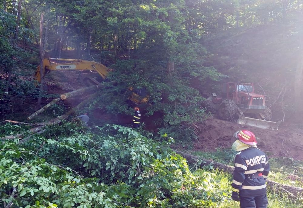 FOTO: Sălăjean, aflat în cabina unui utilaj forestier, strivit de un copac